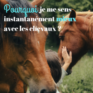 le cheval régule notre système nerveux