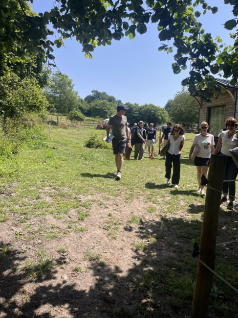 groupe equicoaching atelier