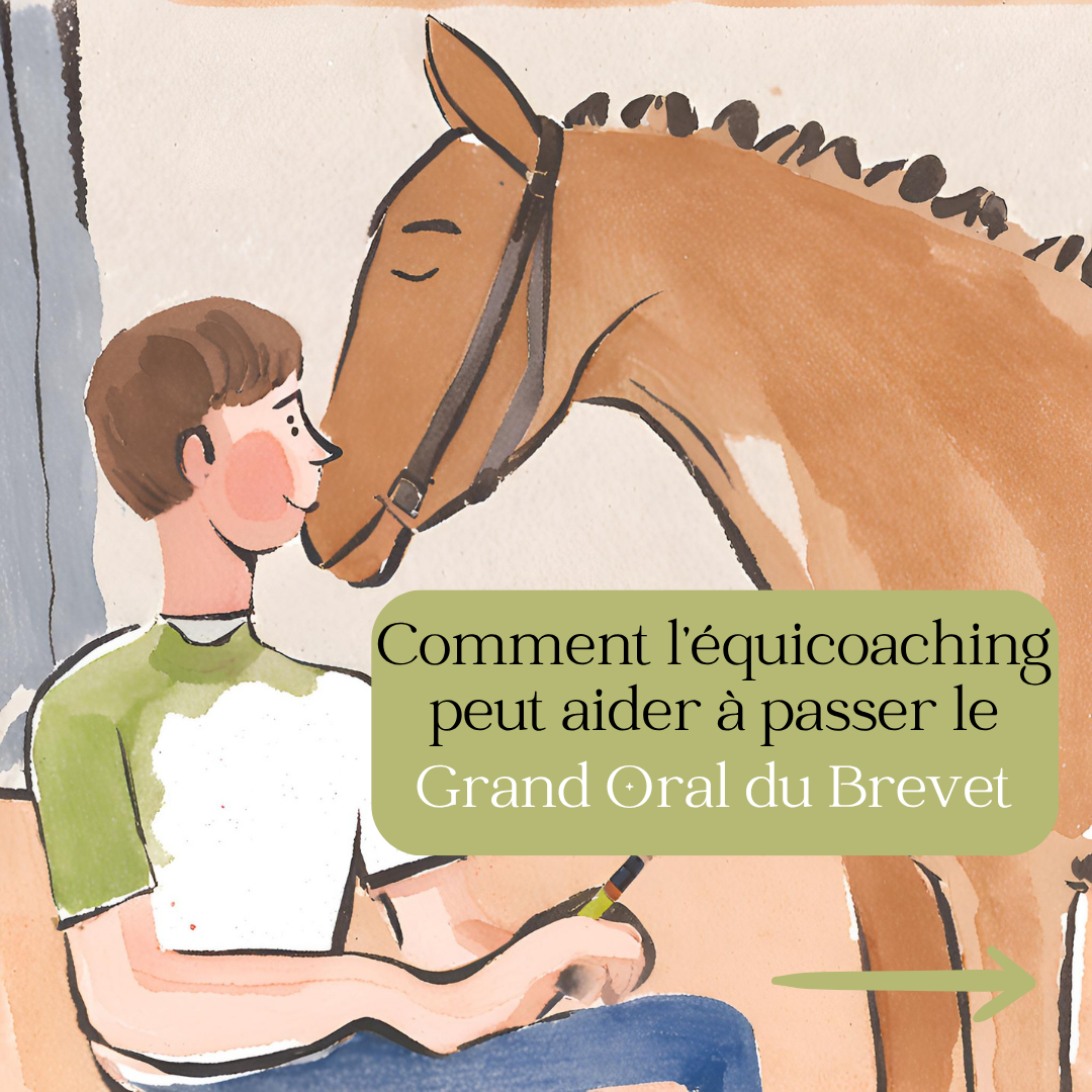grand oral brevet